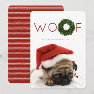 Invitation Boxwood Wreath Pet Christmas Holiday Appartement C