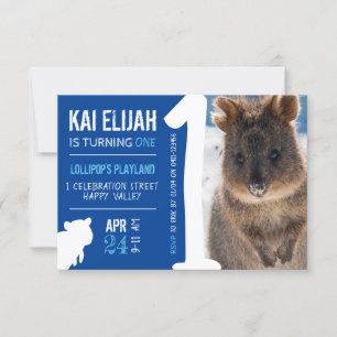 Invitation Boys Premier anniversaire Blue Quokka Australie Ph