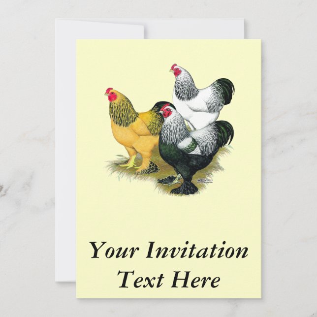 Invitation Brahmas Three Roosters (Devant)