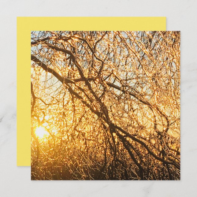 Invitation branches de glace au coucher du soleil (Devant / Derrière)