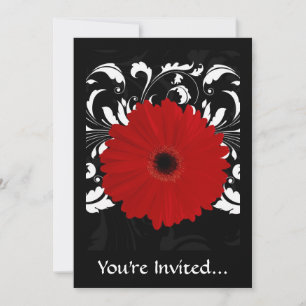 Invitation Bright Red Gerbera Daisy on Black