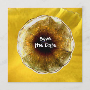 Invitation Bruit de la musique