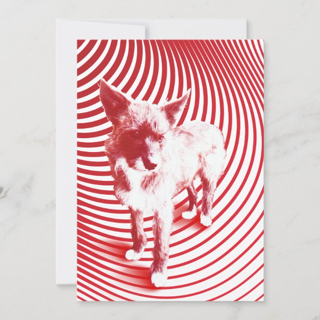 Invitation brume folle (Devant)