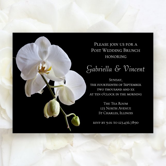 Invitation Brunch de mariage après la noce Orchidée Blanche s (Créateur téléchargé)