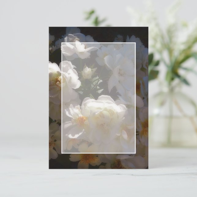 Invitation Budget vierge Roses blanches mariage  (Debout devant)