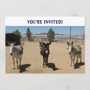 Invitation Burros Ouest