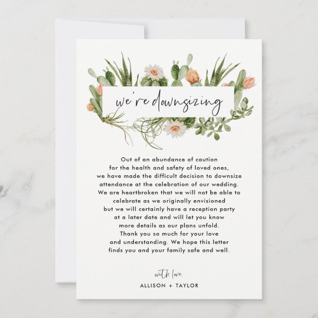 Invitation Cactus Aquarelle Mise à Jour De Mariage Réduction  (Devant)