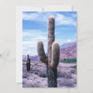 Invitation Cactus dans la province de Jujuy - Nord de l'Argen