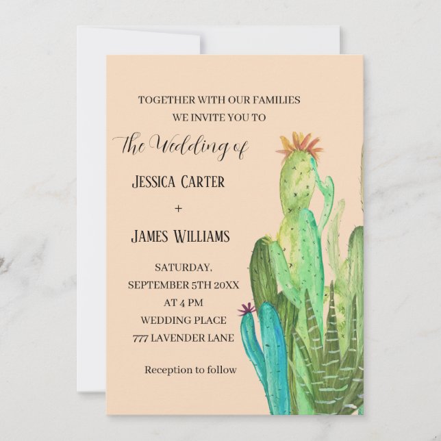 Invitation Cactus Terracotta Désert Mexique Aquarelle Mariage (Devant)