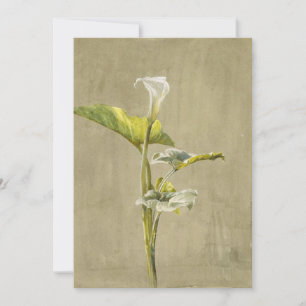 Invitation Calla Lily par Fidelia Bridges