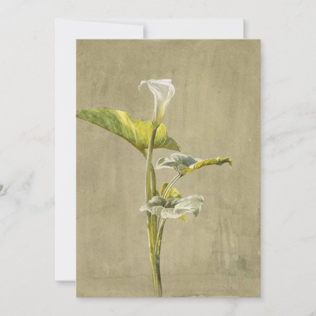 Invitation Calla Lily par Fidelia Bridges (Devant)
