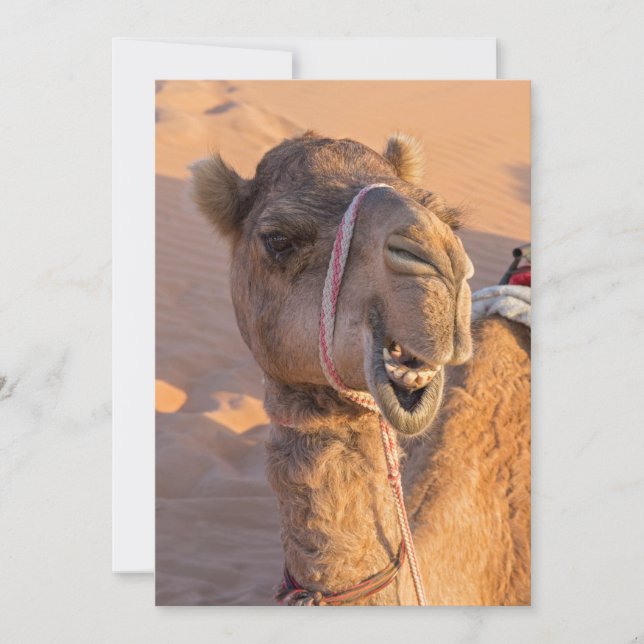 Invitation Camel amusant (Devant)