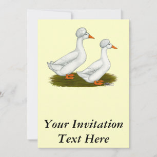 Invitation Canards : Graine blanche