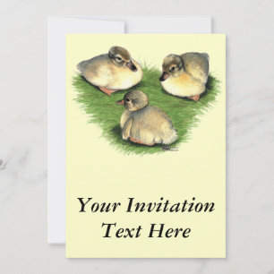 Invitation Canetons Harlequin gallois
