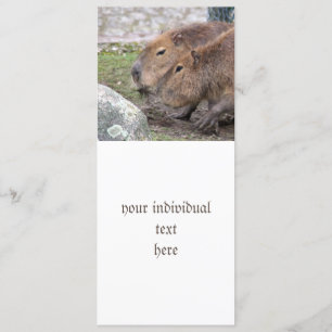 Invitation Capybarahs
