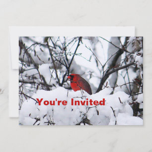 Invitation Cardinal 6216 Anniversaire
