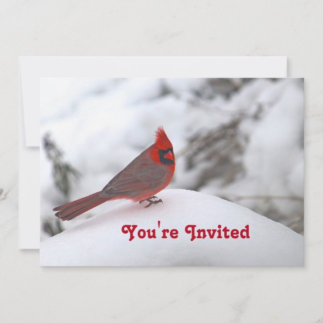 Invitation Cardinal Neige 6241 Anniversaire (Devant)
