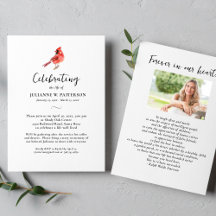 Cardinal Rouge Fête de la vie Photo