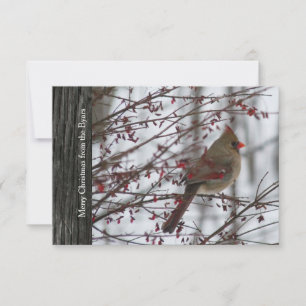 Invitation Cardinal Rustic Wood Holiday Card
