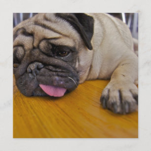 Invitation Carlin une trop d'invitation