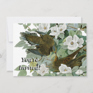 Invitation Carolina Pigeon Audubon Morning Dove