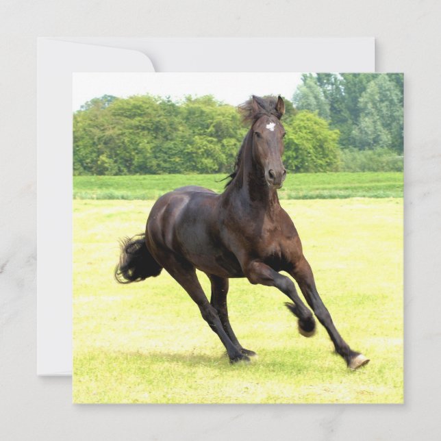 Invitation Carré - Customisée (Devant)