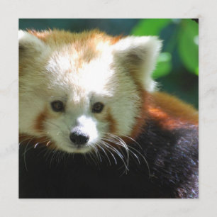 Invitation carrée - customisée