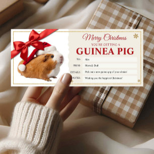 Invitation Carte-cadeau de Noël pour nouveau cochon d'Inde