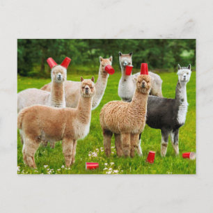 Invitation Carte Postale Alpacas Avec Coupes Rouges