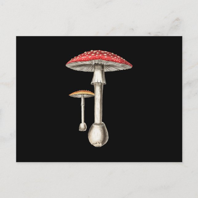 Invitation Carte Postale Amanita Muscaria Champignons Botanique Nature Fung (Devant)