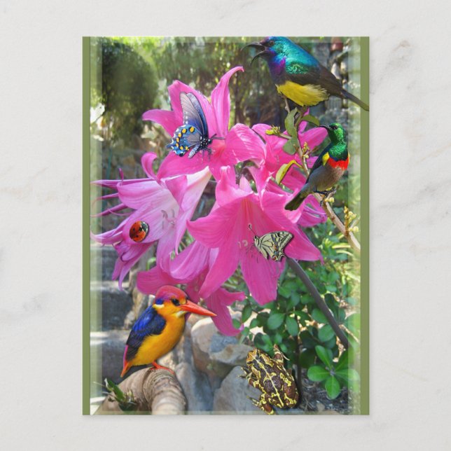 Invitation Carte Postale Amaryllis (Devant)