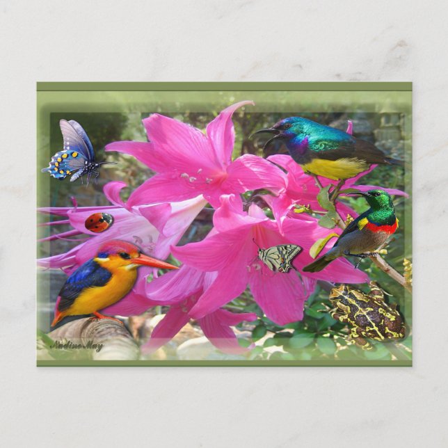 Invitation Carte Postale Amaryllis (Devant)