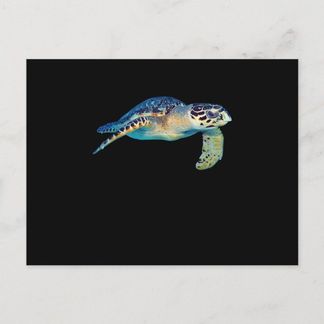 Invitation Carte Postale Amical Sea Turtle Natation sous-marine Photo Art (Devant)