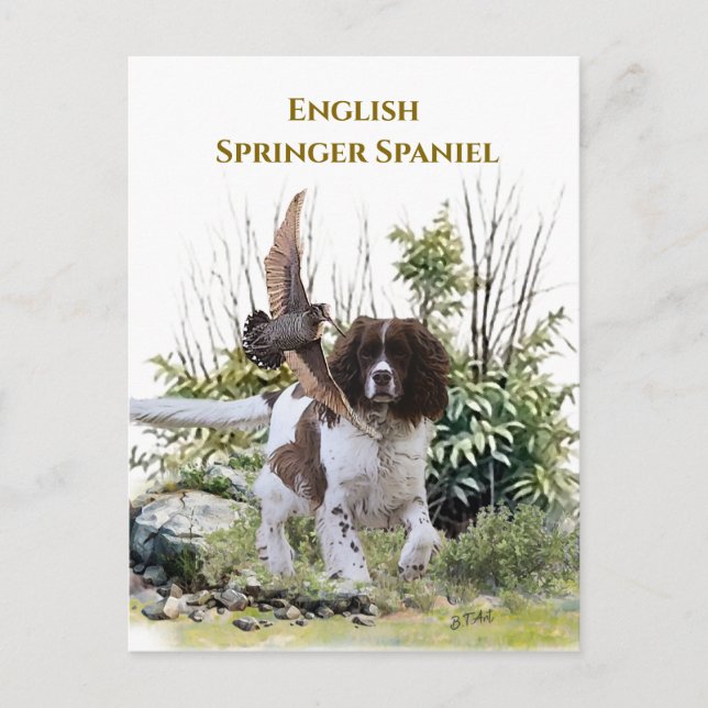 Invitation Carte Postale Anglais Springer Spaniel (Devant)