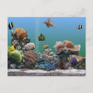 Invitation Carte Postale aquarium rsvp
