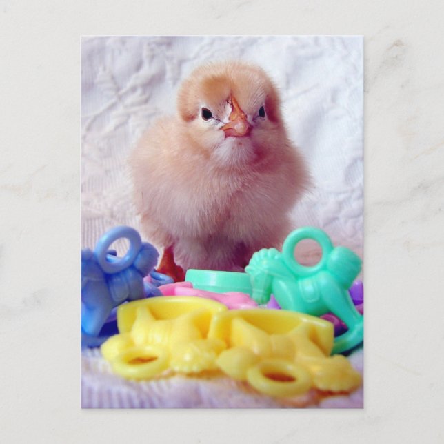 Invitation Carte Postale Baby Chick, Parfait Pour Le Baby shower (Devant)