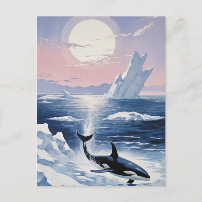 Invitation Carte Postale Baleine tueuse branchée Orca Alaska (Devant)