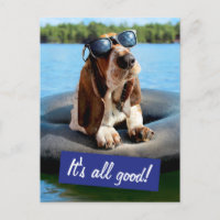Basset Hound Dans Les Lunettes De Soleil