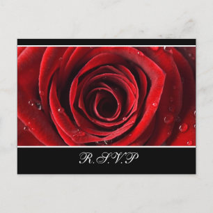 Invitation Carte Postale Belle Rose Rouge Mariage RSVP -Noir