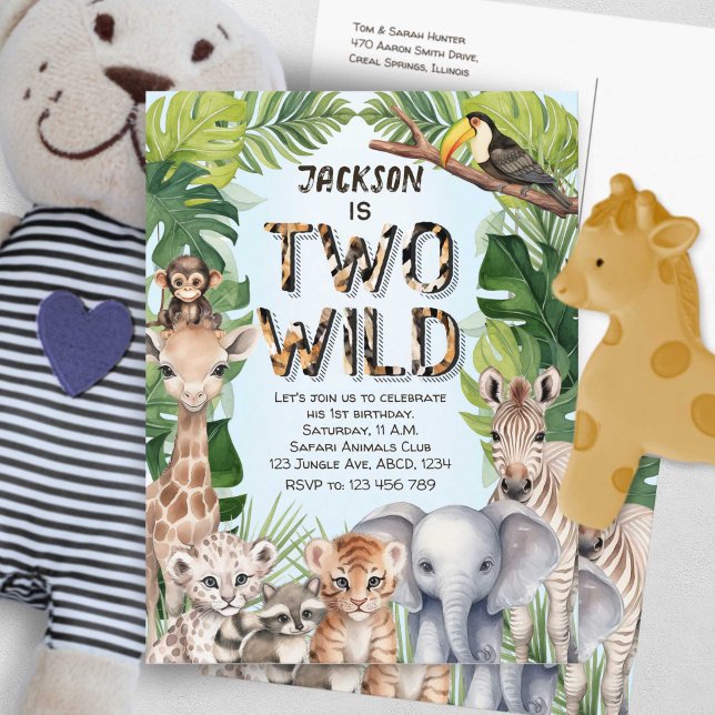 Invitation Carte Postale Blue Two Wild Safari Baby Boy 2e anniversaire (Blue Two Wild Safari, Baby Boy Jungle Animals them 2nd birthday postcard invite.)