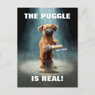 Invitation Carte Postale Bouton Puggle