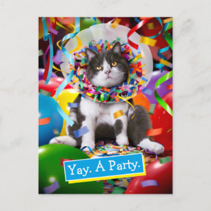 Invitation Carte Postale Cat In Party Cone