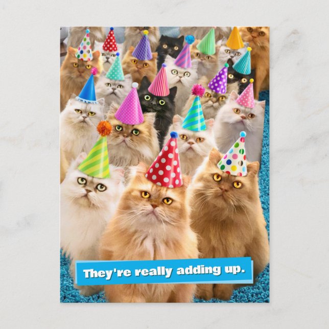 Invitation Carte Postale Cat Party (Devant)