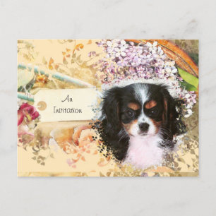 Invitation Carte Postale Cavalier King Charles Spaniel