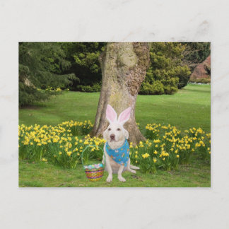 Invitation Carte Postale Chasse aux oeufs de Pâques personnalisable