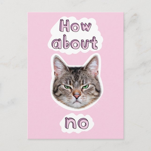 Invitation Carte Postale Chat agacé (Devant)