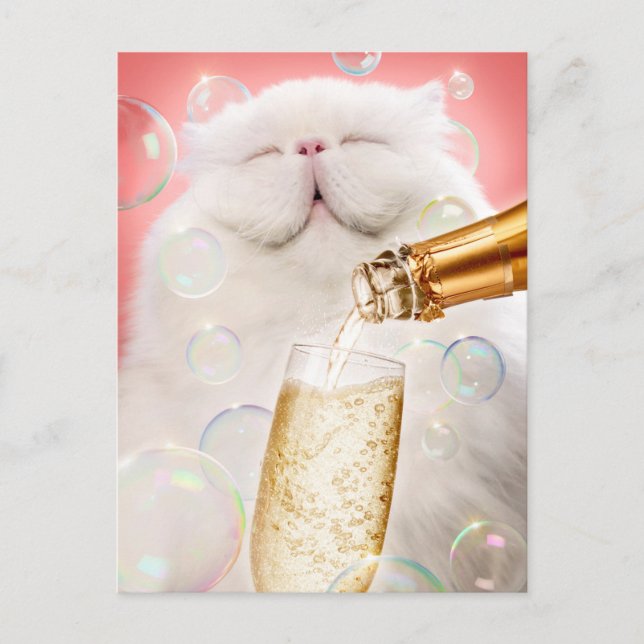 Invitation Carte Postale Chat Au Champagne (Devant)