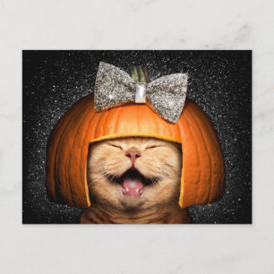 Invitation Carte Postale Chat aux cheveux Citrouilles