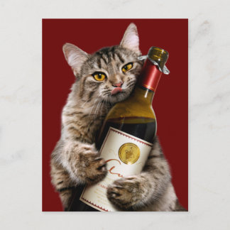Invitation Carte Postale Chat Avec Bouteille De Vin