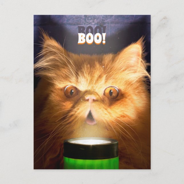 Invitation Carte Postale Chat avec lampe de poche (Devant)